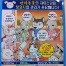 하하 동물병원 이미지