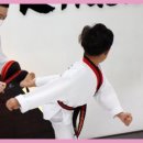 경희대 KTIGERS 태권도 이미지