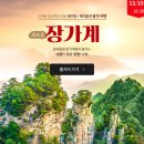 알파항공여행사