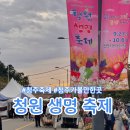 2024 청원 생명축제 주차장 입장료 일정 체험팁 방문후기