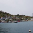 산양초곤리분교 이미지