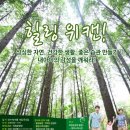 (주)힐링마케팅 이미지