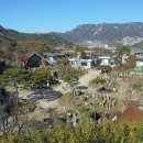 목인박물관 Daum카페
