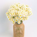 바이-수경 이미지