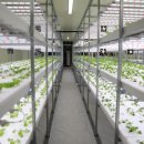 남서울대 노컷뉴스