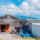 중귤농장 이미지