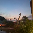 대왕가든 이미지