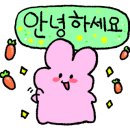 러훠쿵푸