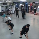 레드윙 복싱 이미지