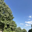 준스테이 | 가족과 함께 떠난 자연 속 힐링, 소백산 준스테이 펜션 후기