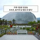 미니스톱 거제새고현점 | 거제 식물원 정글돔 아이와 방문 후기 및 포토존, 볼거리 소개
