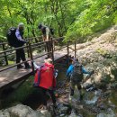 5월21일 무등산국립공원 합동점검-광주 이미지