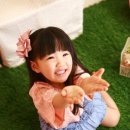 안나경 카카오 검색결과