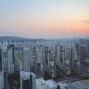 세종숨 네이버블로그