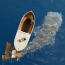 고래의 모험 이미지