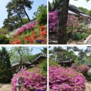 천하태평 이미지