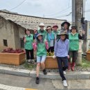 새마을 - 부천시 원미구 부흥로 461 | 새마을