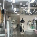 뽀그리멍 이미지