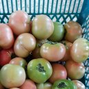 김영수농장 이미지