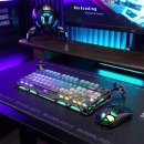 머큐리 PC | 게임에 최적화된 그라바스타 머큐리 게이밍 마우스 후기