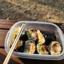 단풍나무 | 여주 강천섬 은행나무 단풍 명소 방문 후기