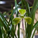 거목개발(주) 이미지