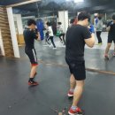 The King Boxing 이미지