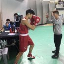 용인대 엘리트복싱 체육관 이미지