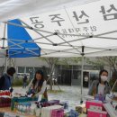 YWCA삼산종합사회복지관 이미지