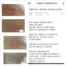 [봄철피부관리]동백오일 & 수분크림 시며 특별할인판매 이미지