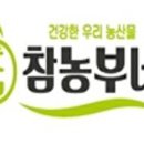 참농부