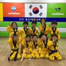 신흥태권도 네이버블로그