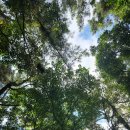 제주 올레길 14-1코스 이미지