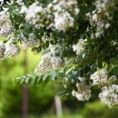 삼산교통공원 이미지