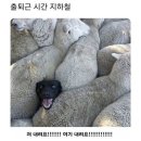 세번째 계절 이미지