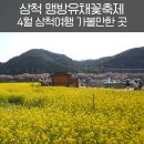 우정보건지소 | 삼척 맹방유채꽃축제 날짜 위치 주차 | 4월 삼척여행 가볼만한 곳
