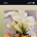 블루밍 플라워 앤 가든 이미지