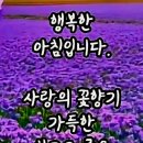 집나가면 개고생 이미지