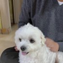 몽글몽글 이미지