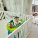 베이비멍 | 6개월, 7개월 아기 성장 크림하우스 하이프리베이비룸 후기 두달사용기