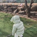 챔코 | 유아 패딩부츠 보그스 비목스노우 구매후기