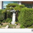 경남양봉원 네이버블로그