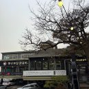 신샘밭로2 | 춘천 통나무집닭갈비 본점 철판닭갈비 만족 후기