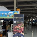 목면축산
