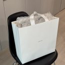 4596 | JANEPAIK&amp; 재인백앤드 may bag 후기 (파크백 대체 추천)