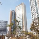 마포중고등학교 이미지