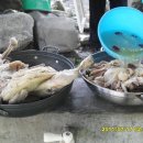 약초산방 Daum카페