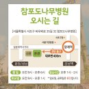 참포도나무병원 이미지