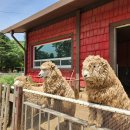 서운동산 이미지