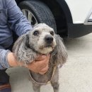 화상천로 이미지